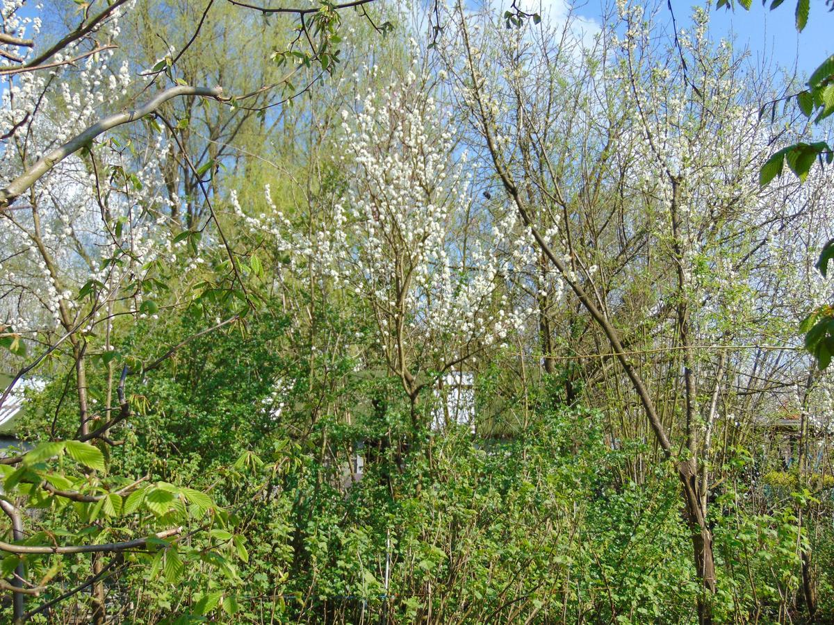 Bnb Heimdall Brecht Buitenkant foto